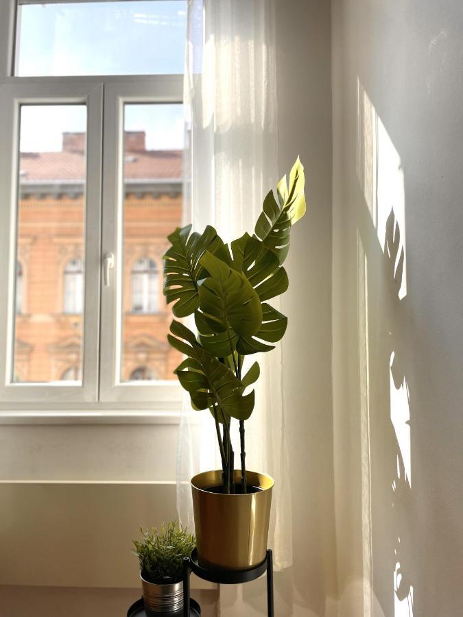 Eotvos 25 Apartment Budapeşte Dış mekan fotoğraf