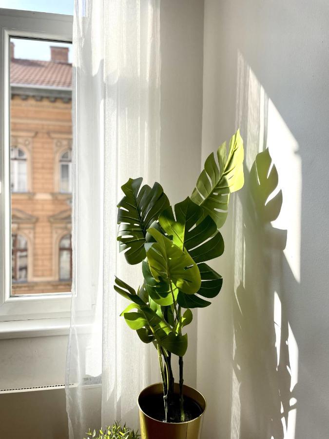 Eotvos 25 Apartment Budapeşte Dış mekan fotoğraf